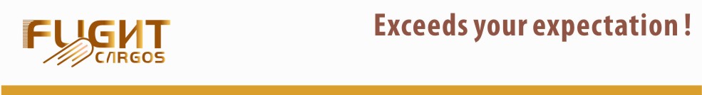 深圳市飞来特国际物流有限公司
